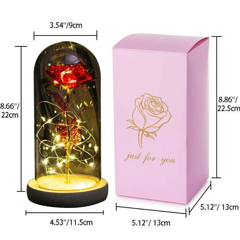 Urban Brook Light Up Forever Rose in Glass Dome